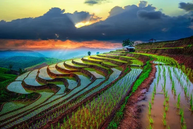 Vietnam