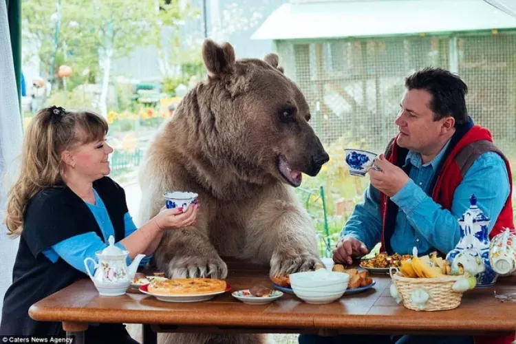 8Day 7Night Russia - Bear Bear - Helicopter Expedition