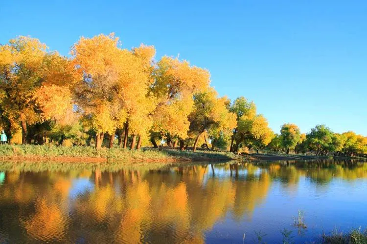 11Day 10Night Autumn Southern Xinjiang