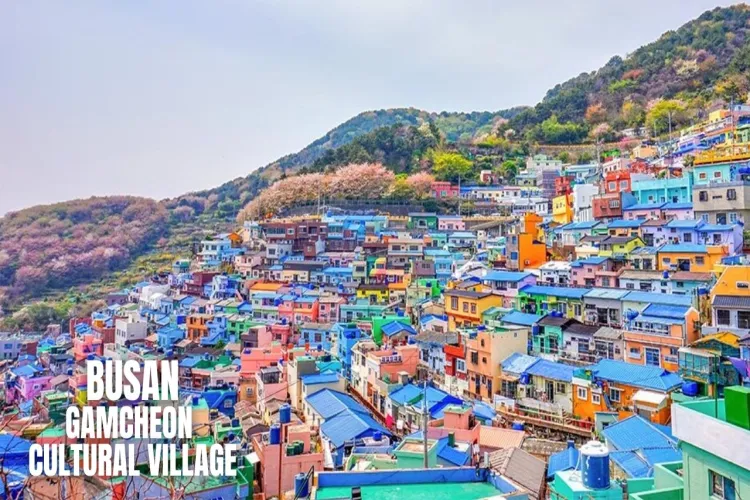 6Day 4Night Busan & Seoul
