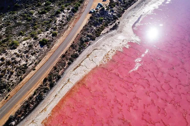 7Day 6Night Western Australia + Perth Pink Lake
