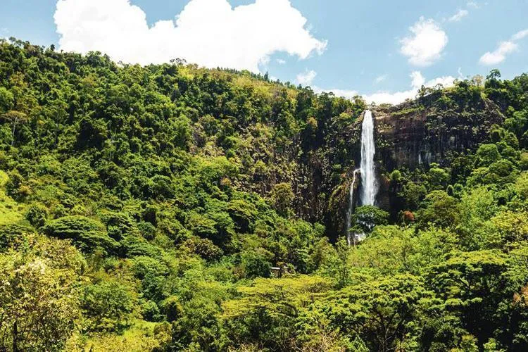 7Day 5Night Refreshingly Sri Lanka Wonder Of Asia