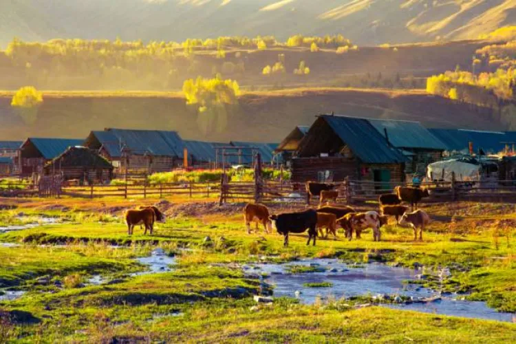 10Day 9Night Northern Xinjiang Scenic & Cultural Adventure