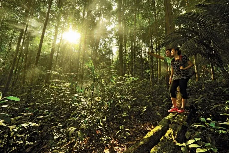 Endau Rompin National Park