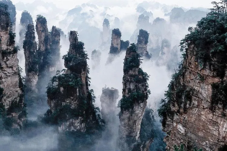 8Day 7Night Zhangjiajie