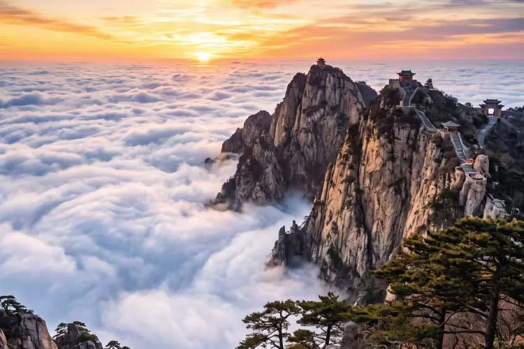 9Day 7Night Shandong & Qingdao Cultural & Culinary Experience