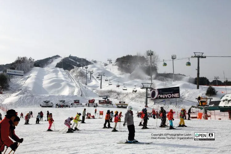 7Day 5Night Korea Winter Ski Experience