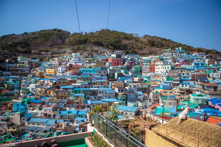 4Day 3Night Amazing Busan