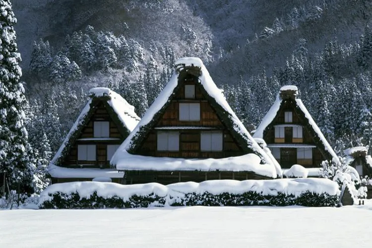 7Day 5Night Central + Shirakawa-Go (Winter)