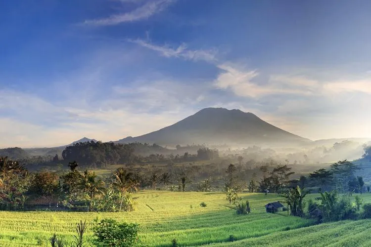 5Day 4Night Bali Discovery