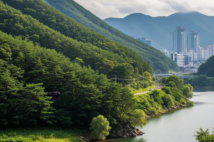 6Day 5Night Charming Korea