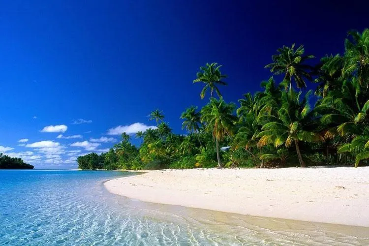 5Day 4Night Hainan Island (Charter Flight)