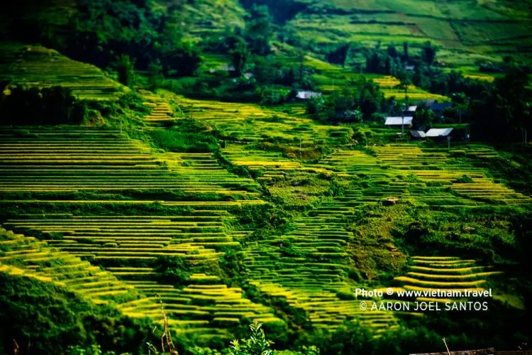 6Day 5Night Hanoi - Sapa - Halong