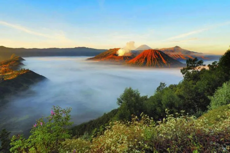4Day 3Night Surabaya Malang Bromo Sunrise