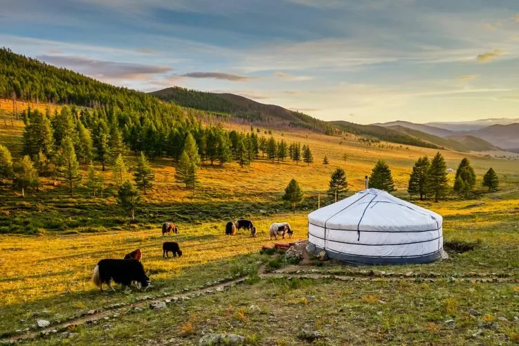 9Day 7Night Mongolia