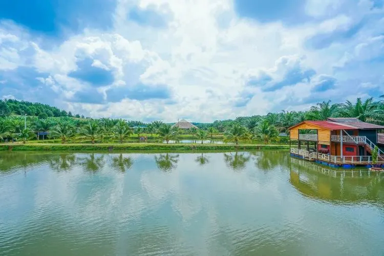 Star Fish Leisure Farm