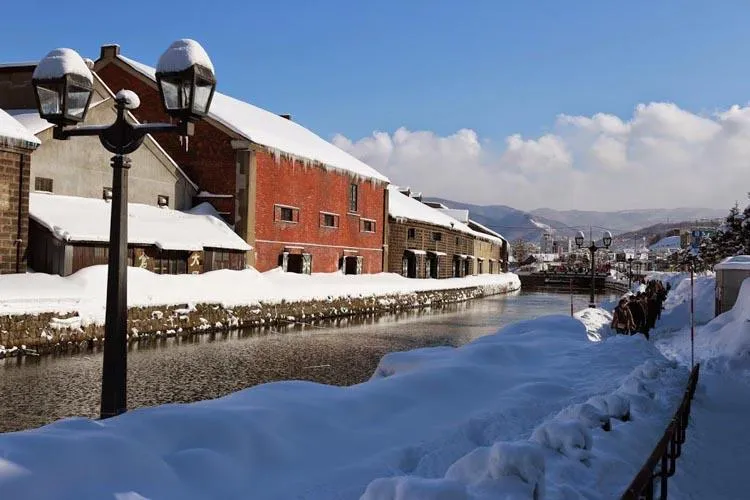 7Day 5Night The Story of Snow Hokkaido